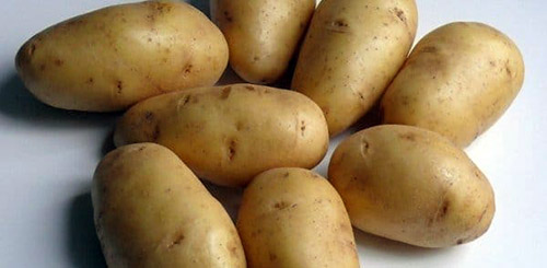 Найсмачніші сорти картоплі: опис, фото