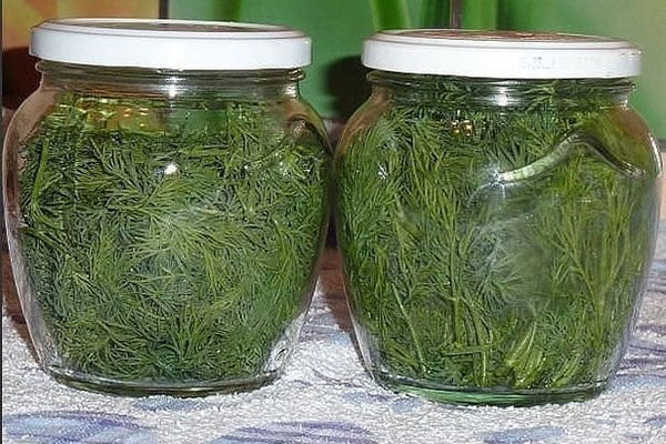 Как заготовить пряные травы на зиму: советы от знатоков