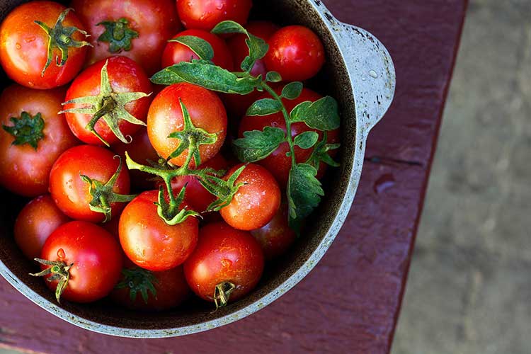 Почервоніти по-швидкому: як прискорити дозрівання помідорів
