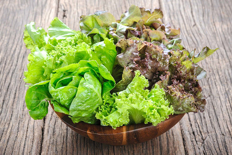 Як зберегти листя салату на зиму в домашніх умовах